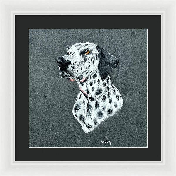 Spotty - Framed Print