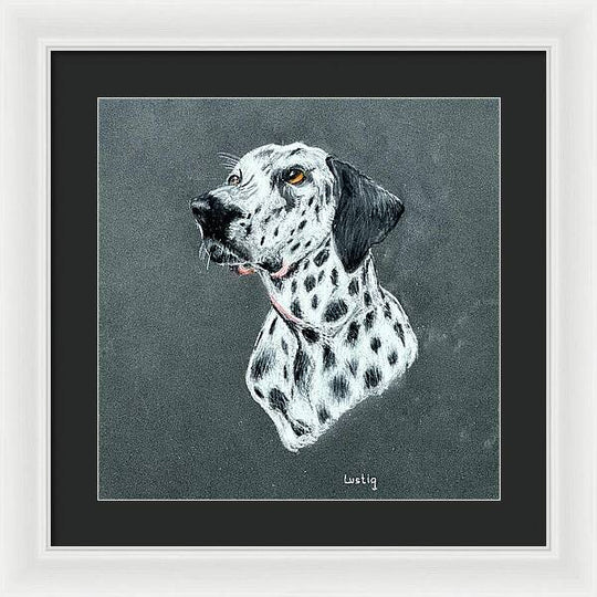 Spotty - Framed Print