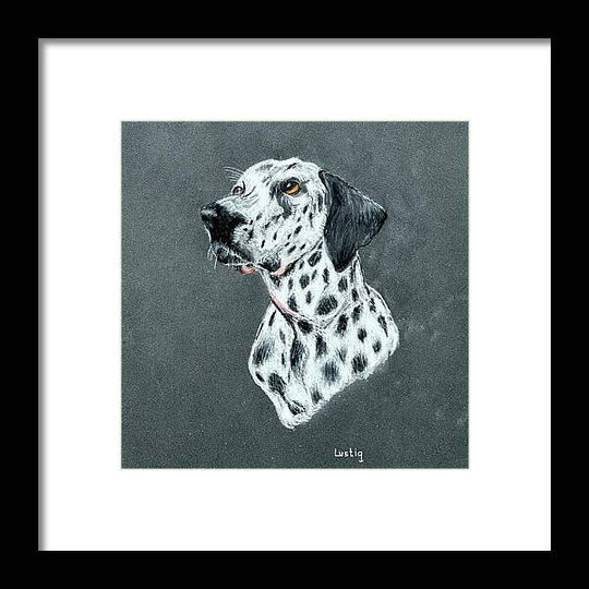 Spotty - Framed Print