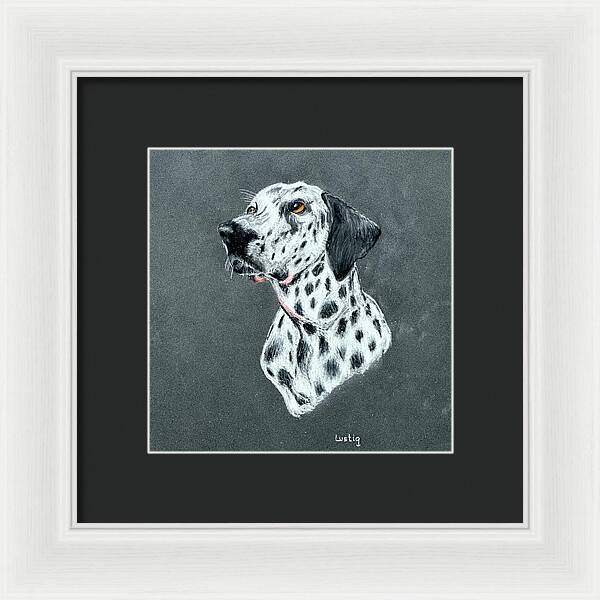 Spotty - Framed Print