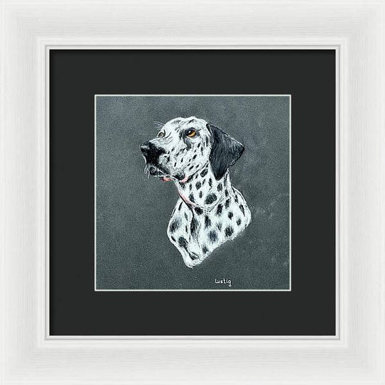 Spotty - Framed Print