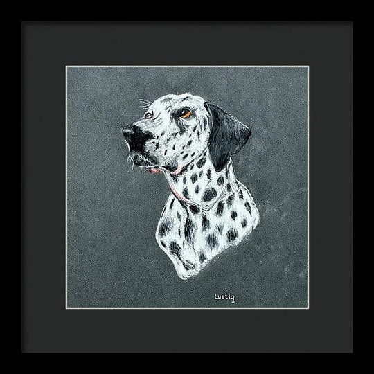 Spotty - Framed Print
