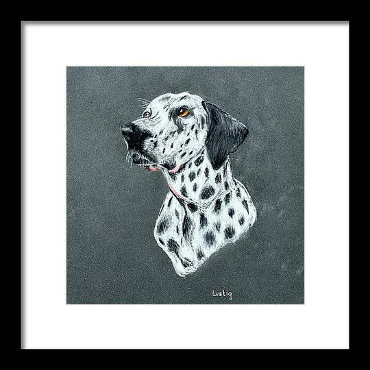 Spotty - Framed Print