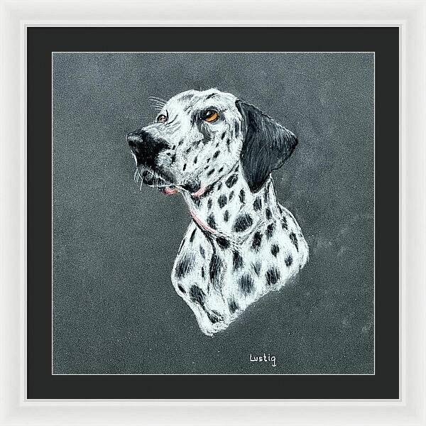 Spotty - Framed Print