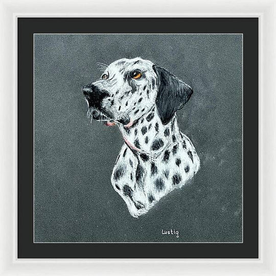 Spotty - Framed Print