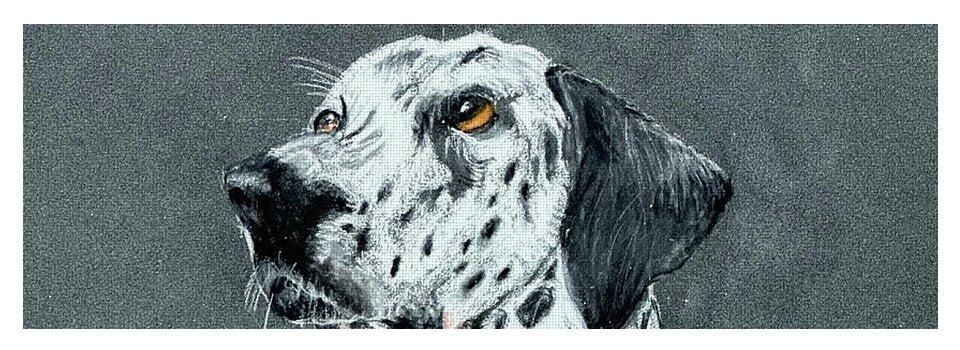 Spotty - Yoga Mat