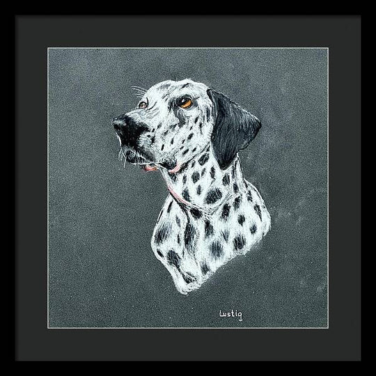 Spotty - Framed Print