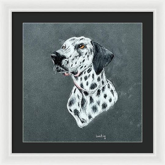 Spotty - Framed Print