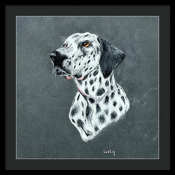 Spotty - Framed Print