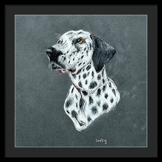 Spotty - Framed Print