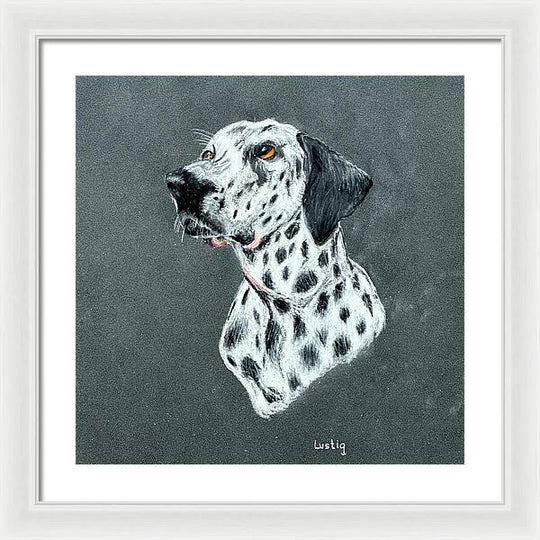 Spotty - Framed Print