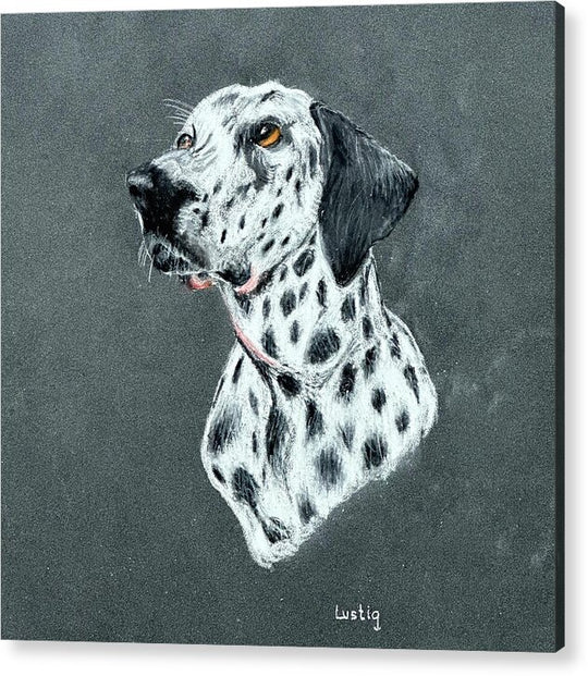 Spotty - Acrylic Print