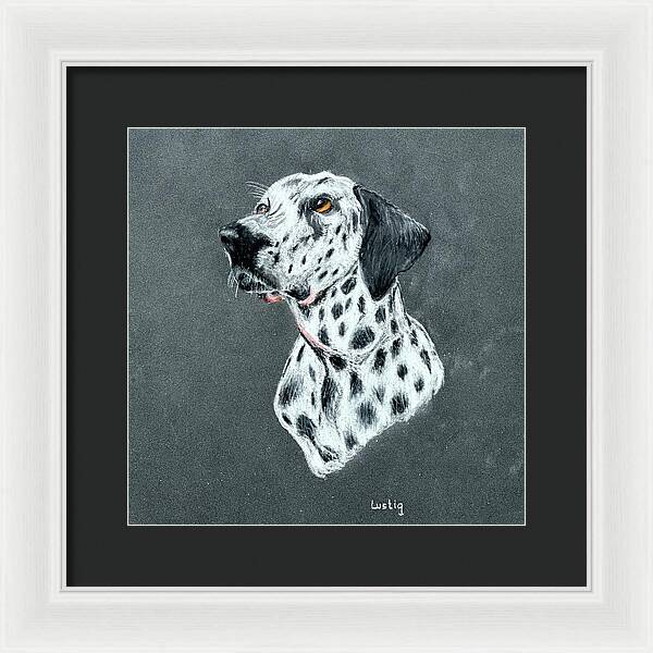 Spotty - Framed Print