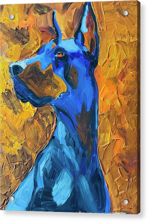 Thor - Acrylic Print