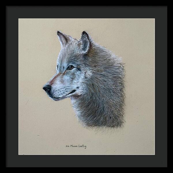 Timbre - Framed Print