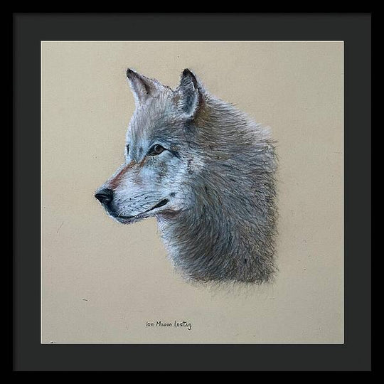 Timbre - Framed Print
