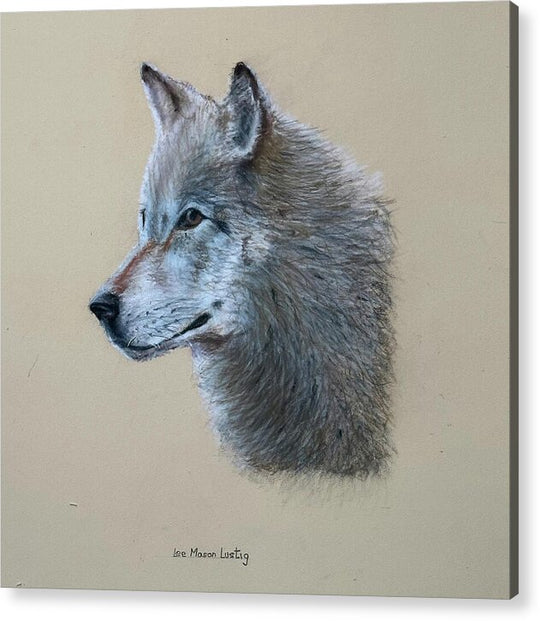 Timbre - Acrylic Print