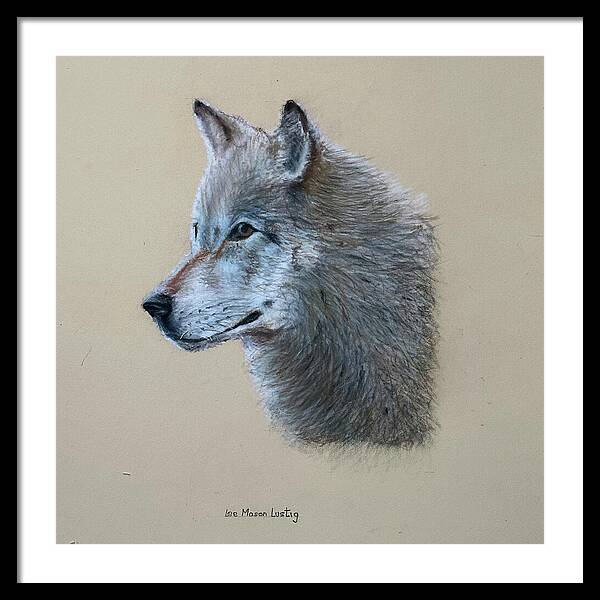 Timbre - Framed Print