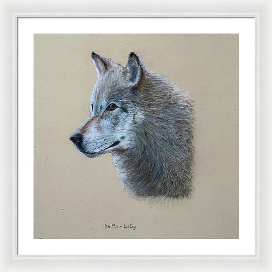 Timbre - Framed Print