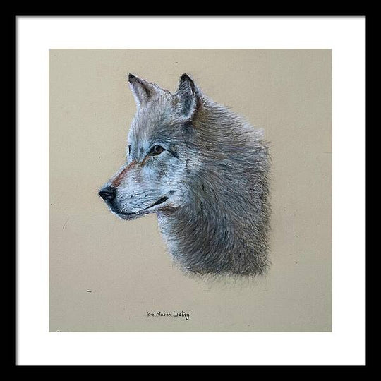 Timbre - Framed Print