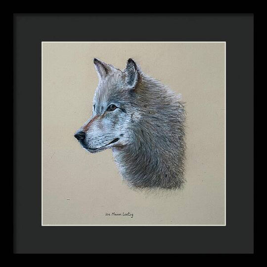 Timbre - Framed Print