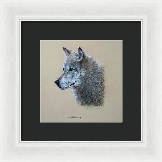 Timbre - Framed Print