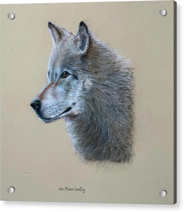 Timbre - Acrylic Print