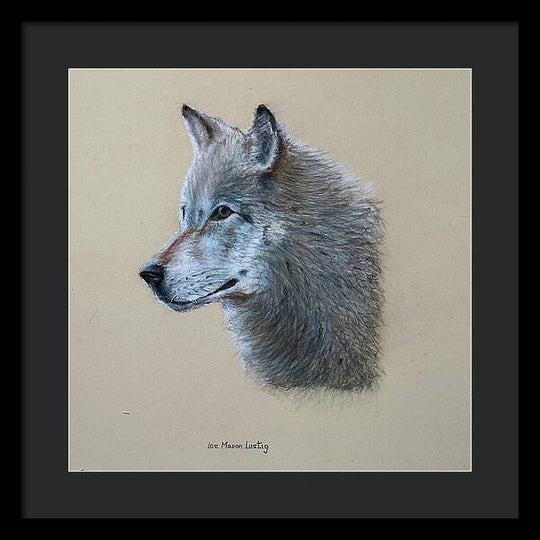 Timbre - Framed Print