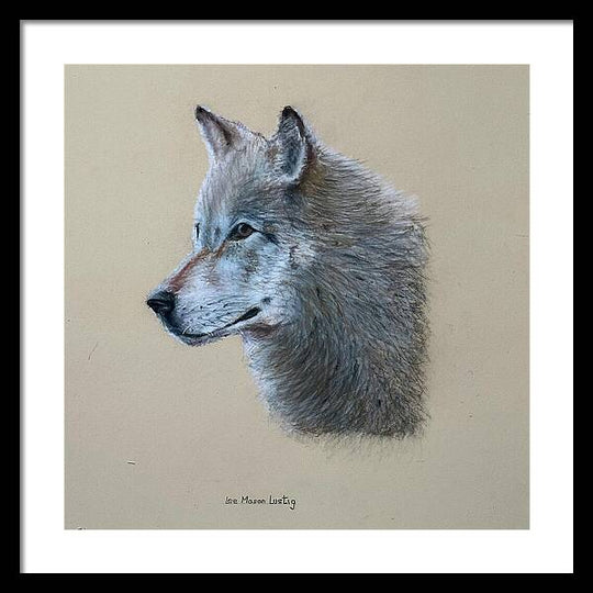 Timbre - Framed Print