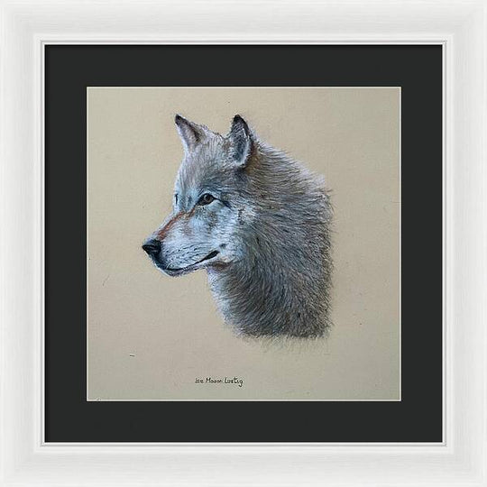 Timbre - Framed Print
