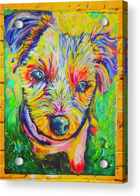 Willow - Acrylic Print