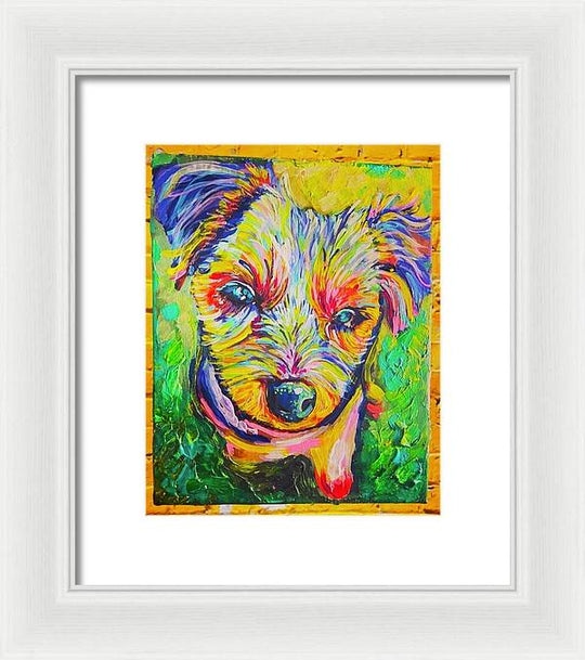 Willow - Framed Print
