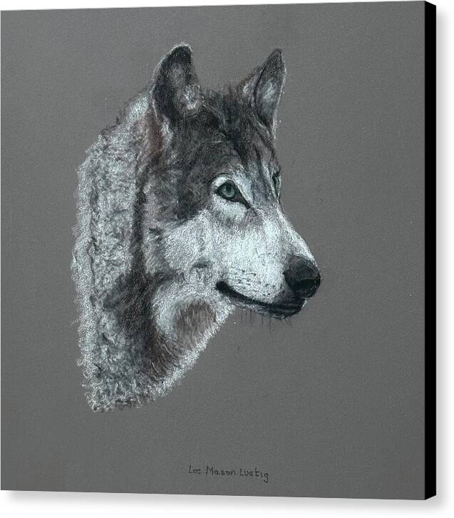 Wolfgang - Canvas Print
