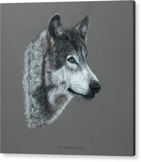 Wolfgang - Acrylic Print