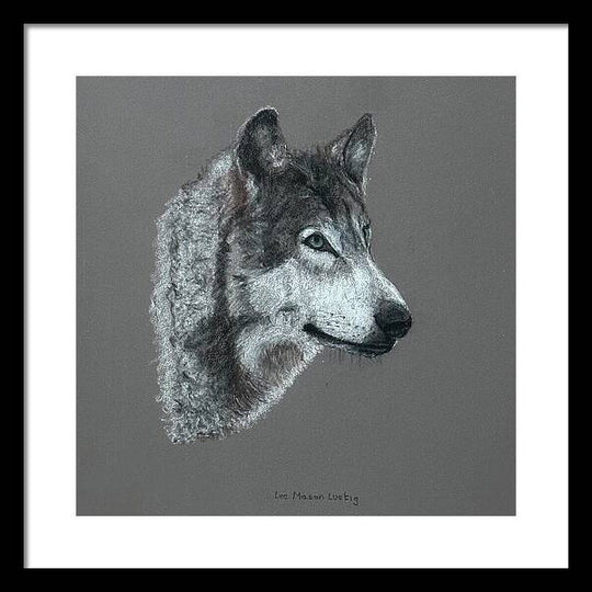 Wolfgang - Framed Print