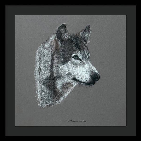 Wolfgang - Framed Print
