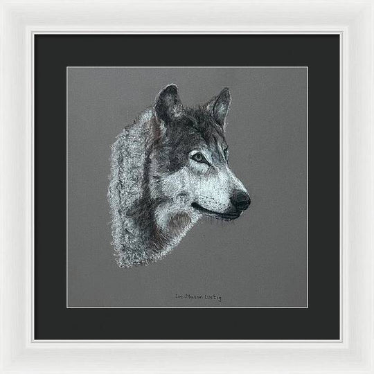 Wolfgang - Framed Print