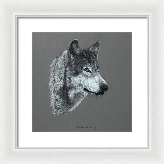 Wolfgang - Framed Print
