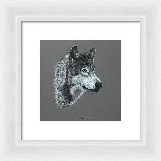 Wolfgang - Framed Print