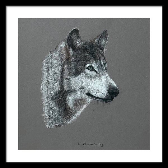 Wolfgang - Framed Print