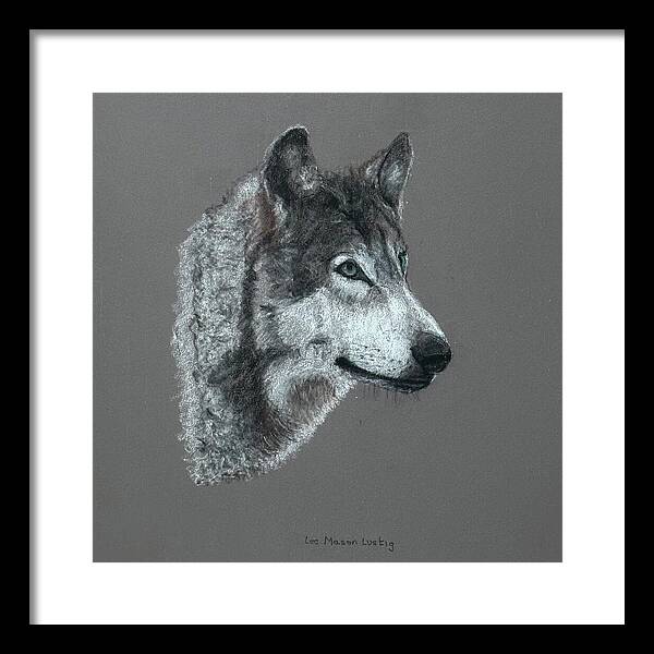 Wolfgang - Framed Print