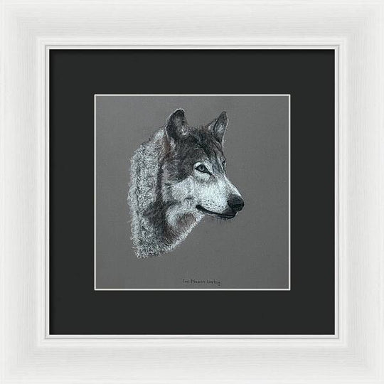 Wolfgang - Framed Print