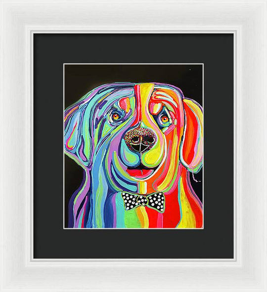 Sharpei - Framed Print