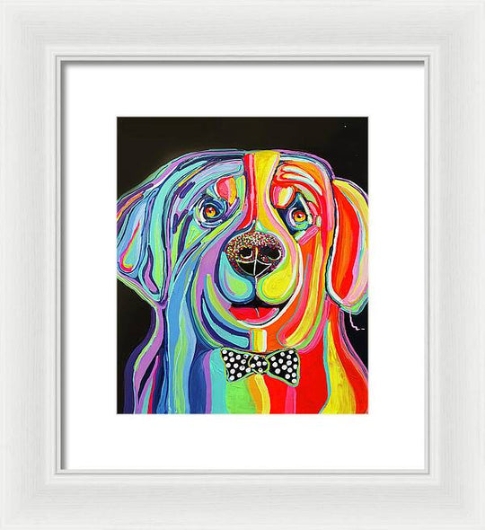 Sharpei - Framed Print