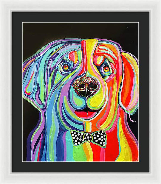 Sharpei - Framed Print