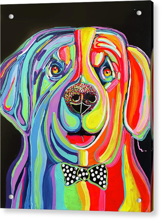 Sharpei - Acrylic Print