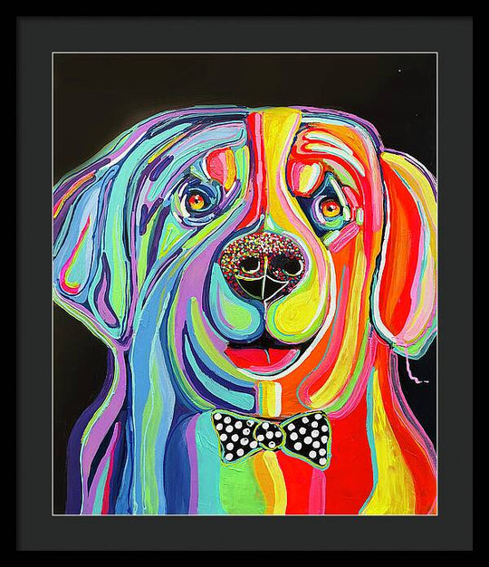 Sharpei - Framed Print
