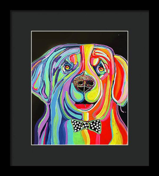 Sharpei - Framed Print