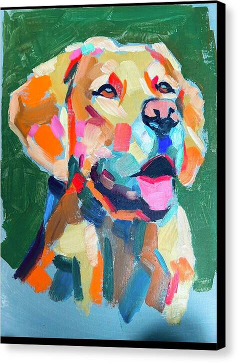 Yellow Lab - Canvas Print