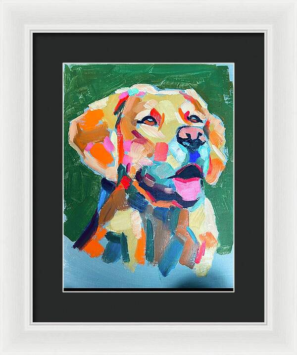 Yellow Lab - Framed Print
